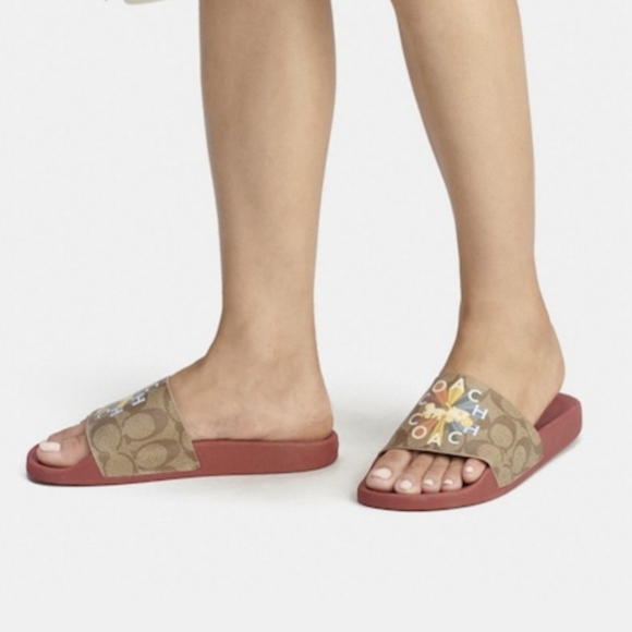 Coach Sport Slides - Picture 6 of 6